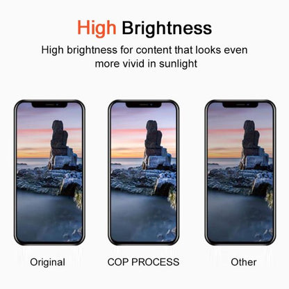 Per iPhone 13 Pro Max DD Hard OLED Screen, rimuovere IC necessita di riparazione professionale, For iPhone 13 Pro Max(DD Hard OLED)