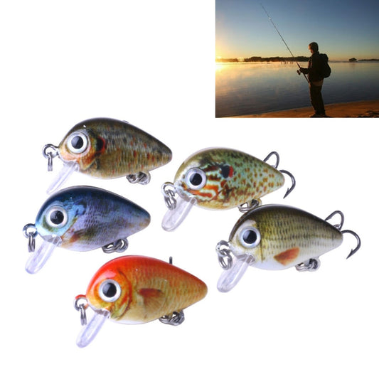 Kit di 5 esche bioniche HENGJIA da 2,7 cm e 1,5 g per pesca su roccia