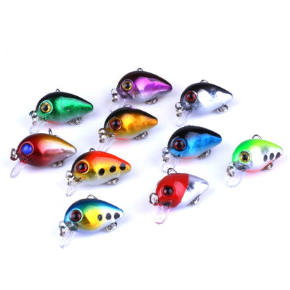 HENGJIA Kit di 10 Esche da Pesca Bioniche da 3 cm con Scatola in