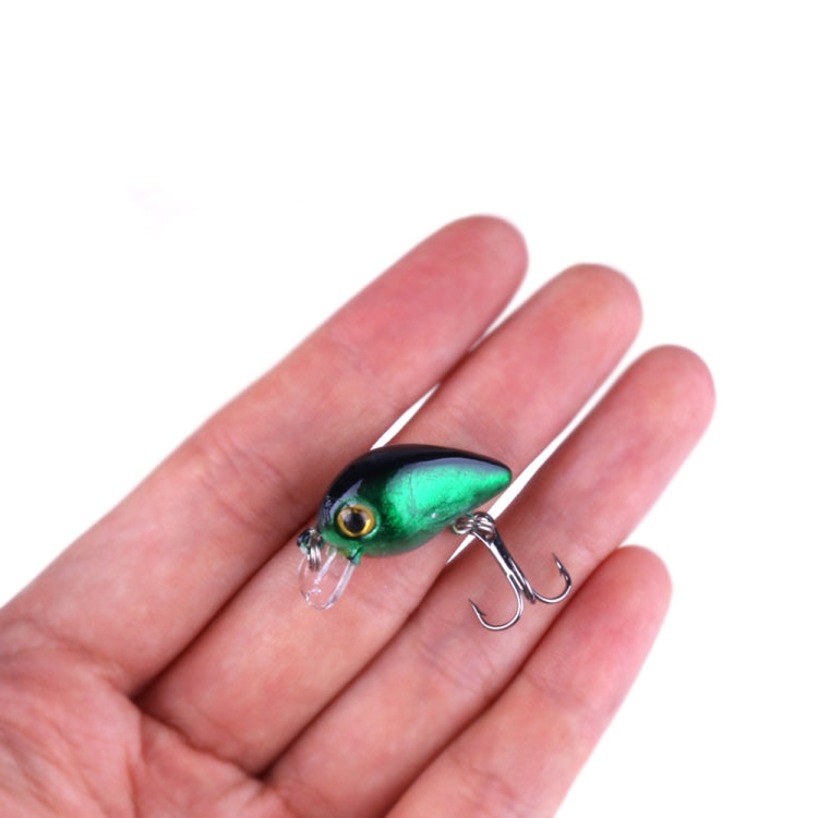 HENGJIA Kit di 10 Esche da Pesca Bioniche da 3 cm con Scatola in