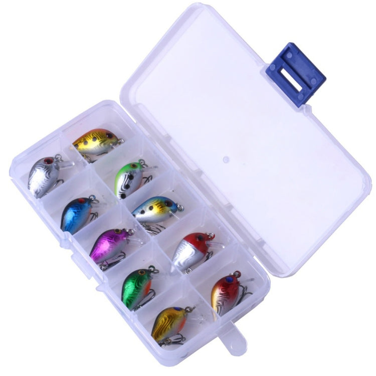 HENGJIA Kit di 10 Esche da Pesca Bioniche da 3 cm con Scatola in