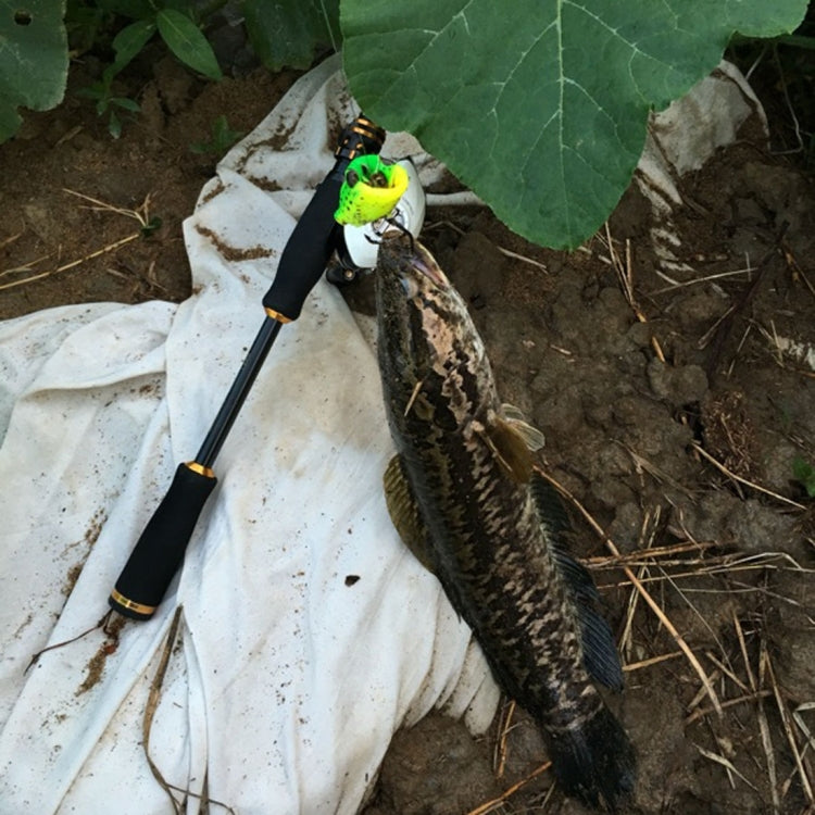 HENGJIA 5 Pezzi di Esche Morbide per Pesca con Scatola in Plastica -