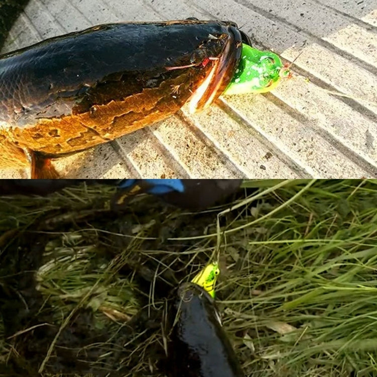 HENGJIA 5 Pezzi di Esche Morbide per Pesca con Scatola in Plastica -