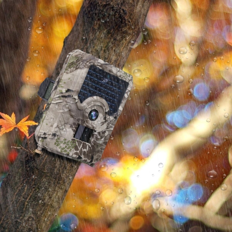 PR-200 IP54 Telecamera da caccia di sicurezza per visione notturna IR impermeabile, grandangolo da 120 gradi, angolo di rilevamento PIR da 100 gradi, PR200