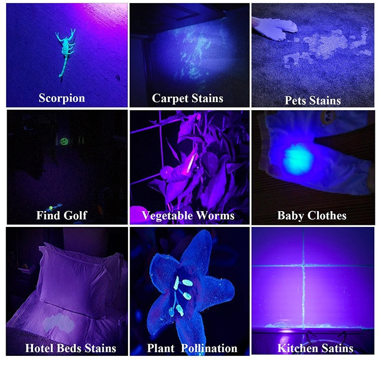 Torcia Ricaricabile 1902B con 4 Modalità di Illuminazione