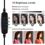 PULUZ 4-in-1-Vlogging-Live-Übertragung, 4,7 Zoll, 12 cm, LED-Ring-Selfie...
