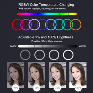 Kit di trasmissione per luce anulare LED RGBW con superficie curva PULUZ da 26 cm