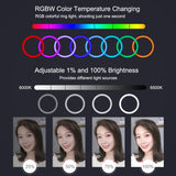 Kit di trasmissione per luce anulare LED RGBW con superficie curva PULUZ da 26 cm