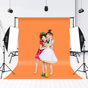 PULUZ Softbox Kit di illuminazione 2 pezzi 50x70 cm Attrezzatura fotografica ...