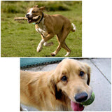 PULUZ Hound Dog Verstellbarer Brustgurt-Bergungsgeschirr...