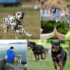 PULUZ Hound Dog Verstellbarer Brustgurt-Bergungsgeschirr...
