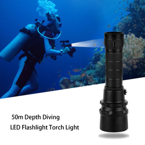 PULUZ 1000LM LED-Taschenlampe aus Aluminiumlegierung für 50 m Tiefe...
