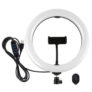PULUZ 10,2 pouces 26 cm USB 3 modes Dimmable Double température de couleur...