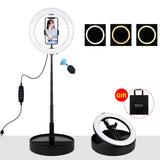 10,2 Zoll 26 cm 3-Modus Dual-Temperatur-Ringlicht