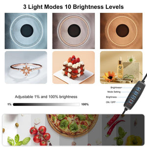 PULUZ 50 cm faltbares tragbares Fotobeleuchtungsstudio – Professionelle Lichtbox mit einstellbarem LED-Licht