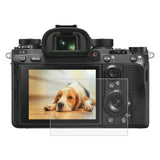 Compatibile con Sony RX100/II/III/IV/V/IV / A99 / HX400 / H300 / A99II / A7RI...