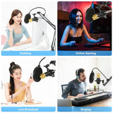 Kit Microfono a Condensatore PULUZ - Microfono Professionale da Studio con Accessori Completi