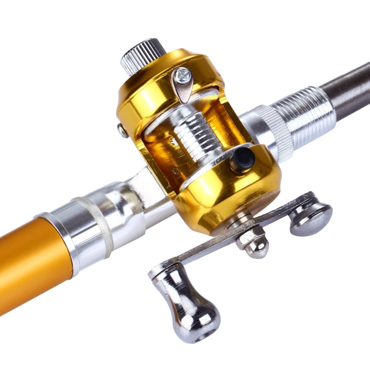 canna-da-pesca-stile-penna-con-volano-circle-pulley-disponibile-in-oro-e-argento - immagine 6