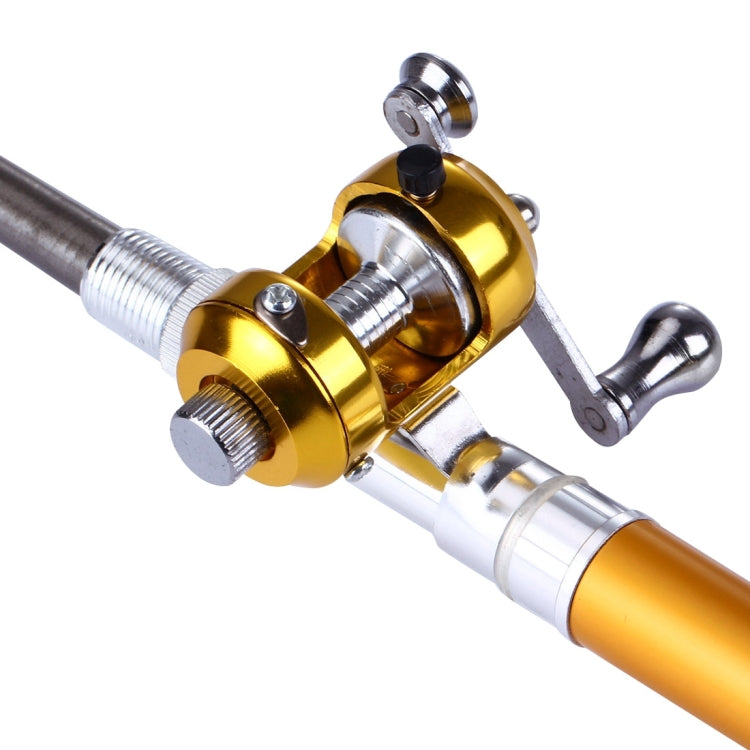 canna-da-pesca-stile-penna-con-volano-circle-pulley-disponibile-in-oro-e-argento - immagine 7