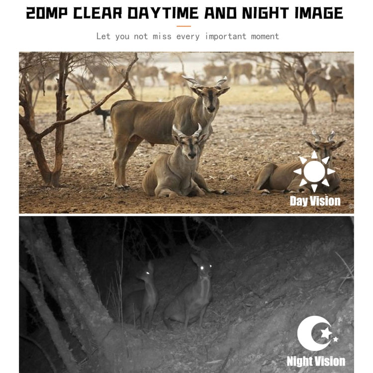 PR700 1080P Videocamera per la caccia alla fauna selvatica Videocamera per visione notturna attivata dal movimento per trigger di scansione per tracciamento esterno, PR700