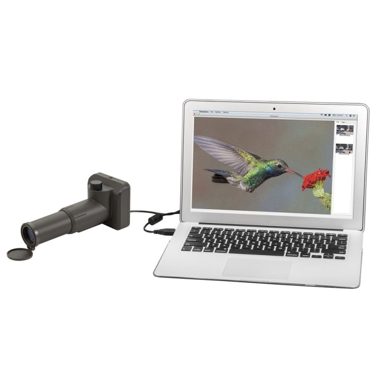 Telescopio digitale USB 1080P HD UM052 Telescopio a tubo singolo per elettronica ad alta muffa 20X, 20X